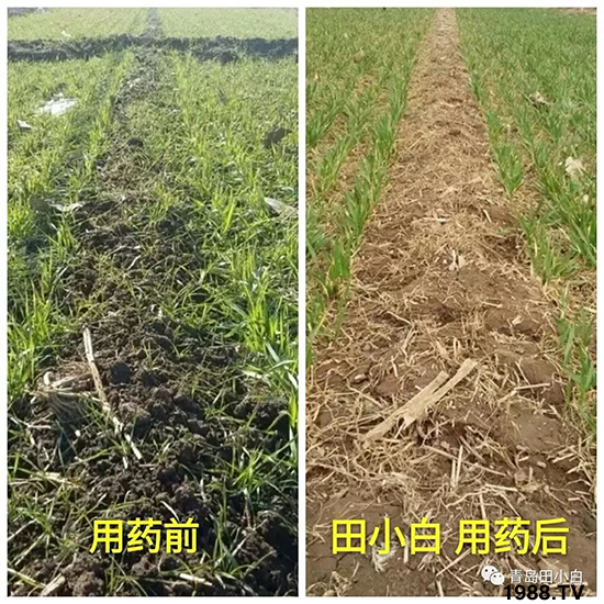 С���s������(ji��)��(ji��)�����E�ɞ�(z��i)����ô�k��С�����݄���ô�x