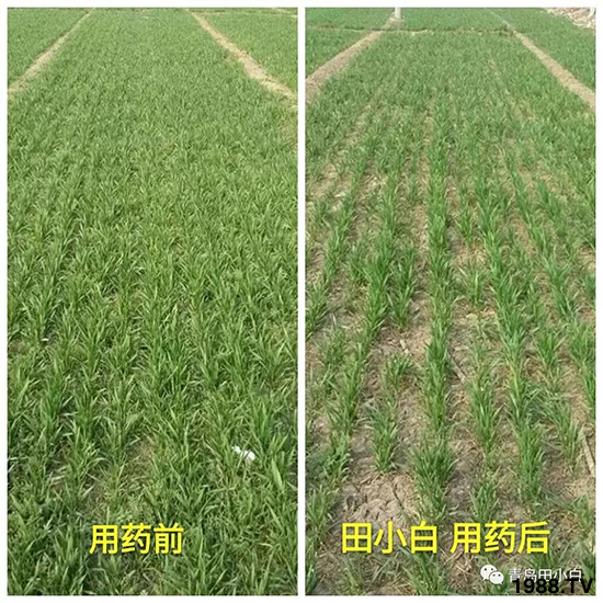 С���s�ݣ���(ji��)��(ji��)�����E�ɞ�(z��i)����ô�k��С�����݄���ô�x