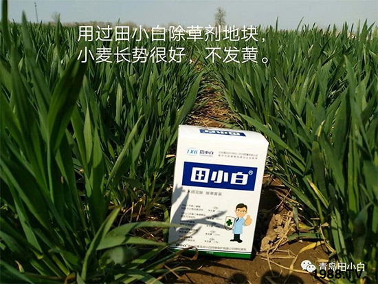 С���s������(ji��)��(ji��)�����E�ɞ�(z��i)����ô�k��С�����݄���ô�x