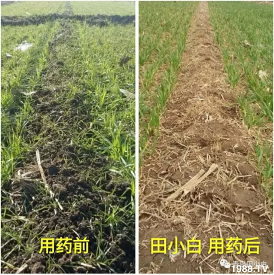 ��(ji��)��(ji��)��Σ����(y��n)����ô������ʲôˎ��Ч������