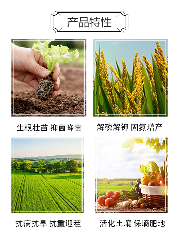 一畫-微生物菌劑2_03