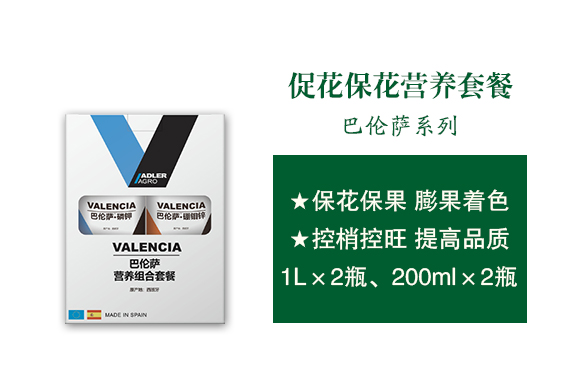 西班牙艾德拉股份有限公司1_03