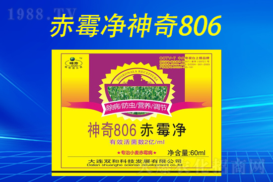 合作再升級(jí)！大連雙和科技再簽1988.TV，共創(chuàng)新輝煌！