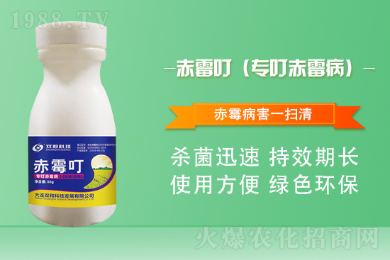 合作再升級(jí)！大連雙和科技再簽1988.TV，共創(chuàng)新輝煌！