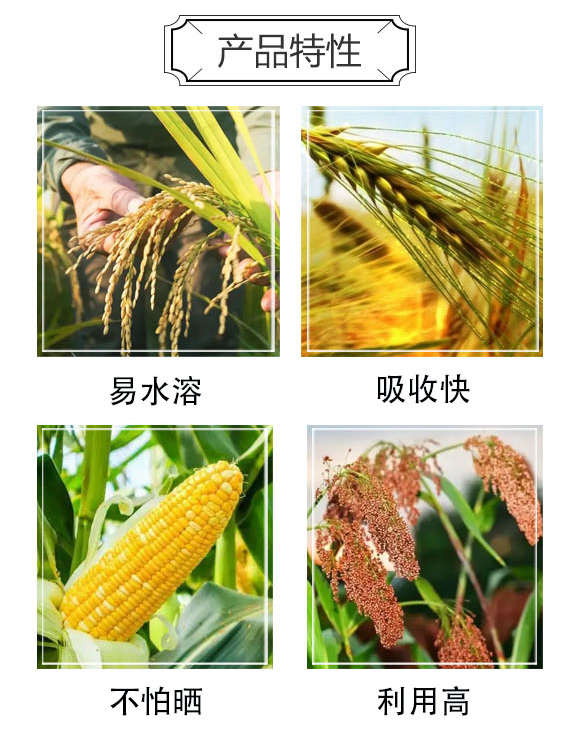 氨基酸有機(jī)氮肥-大化肥業(yè)_03