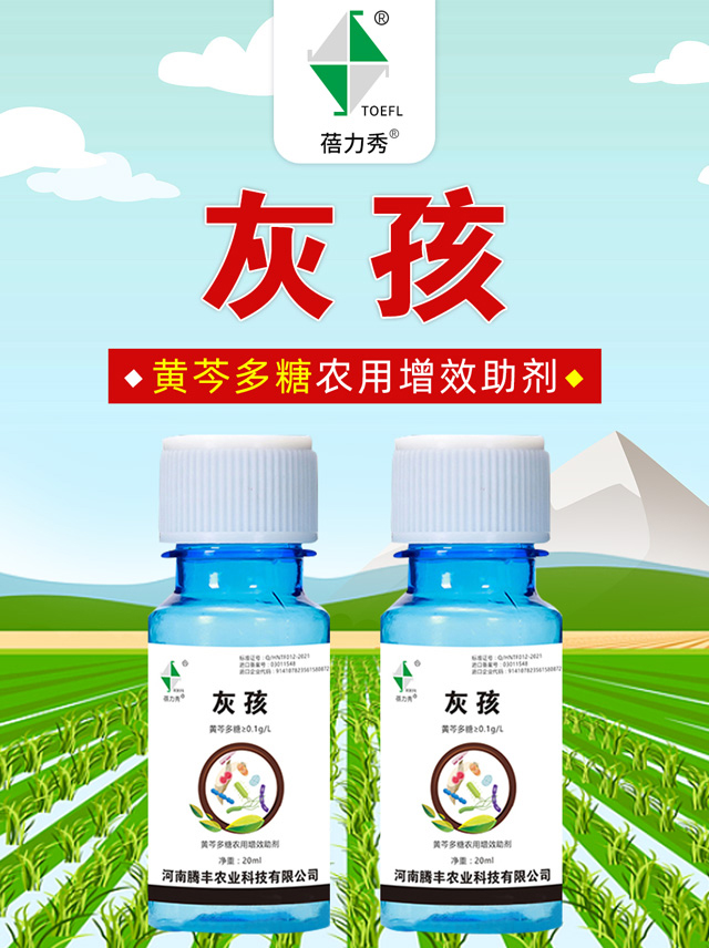 灰孩-蓓力秀-騰豐農(nóng)業(yè)_01