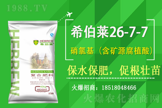 ��(f��)�Ϸʃr����������Տ�(f��)�Ϸʃr��2��17��