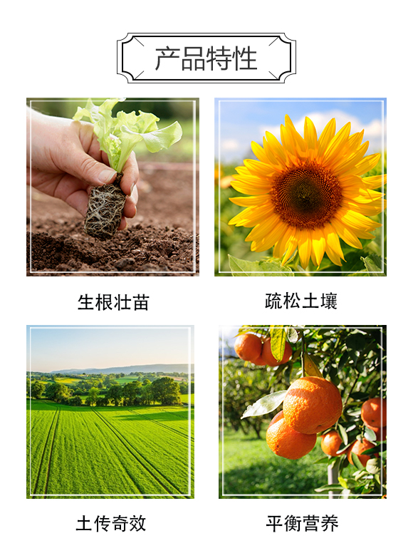 河南中科農(nóng)業(yè)科技研究院-精品根秀才_03