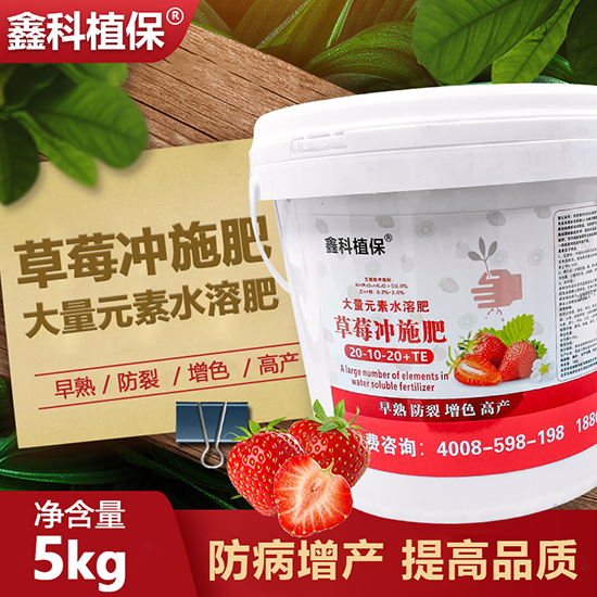 草莓沖施肥20-10-20+TE-鑫科植保2