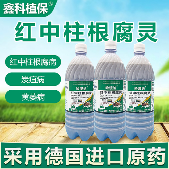 草莓紅中柱根腐靈-鑫科植保2