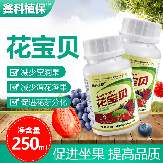 ����ؐ-�ο�ֲ��2