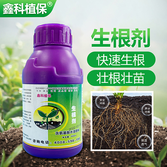 ������-�ο�ֲ��2