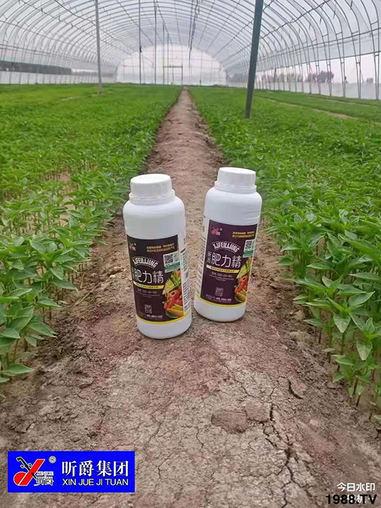 �����仨����������Ͳ��ü������l(f��)���ܣ��ٻ����������E���@��