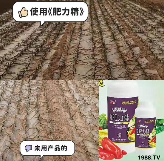 �����仨����������Ͳ��ü������l(f��)�������ٻ����������E���@��