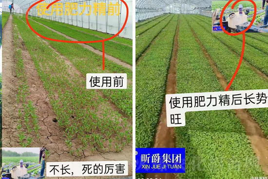 �����仨����������Ͳ��ü������l(f��)���ܣ��ٻ����������E���@��