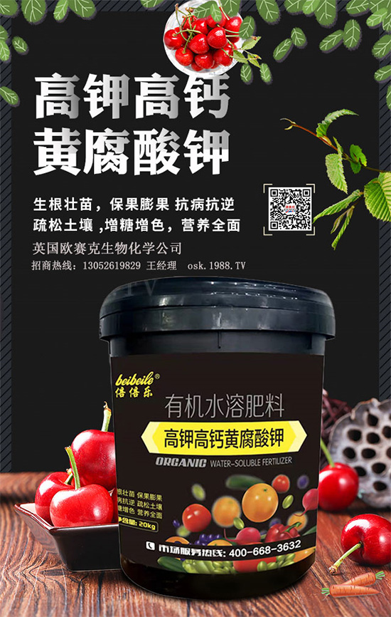 一袋黃腐酸鉀=生根＋土壤改良＋有機肥！黃腐酸鉀為何如此神奇？