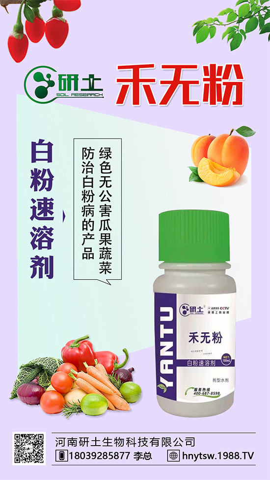 葡萄白粉病即將爆發(fā)！如何巧妙分辨白粉??？