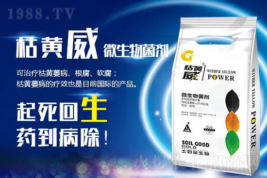 枯黃萎、立枯等病害怎樣滅殺？用它就夠了！