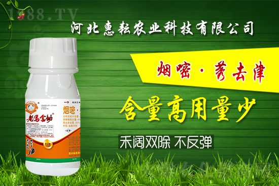 封殺雙效！禾闊通除！玉米田除草記住這個配方就夠了! 