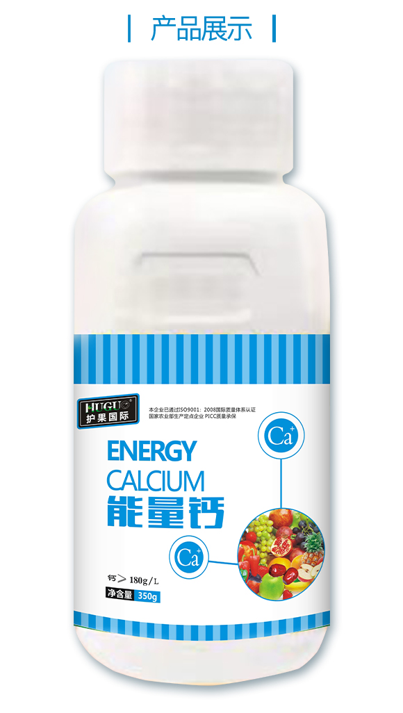 �o�����H855862_04