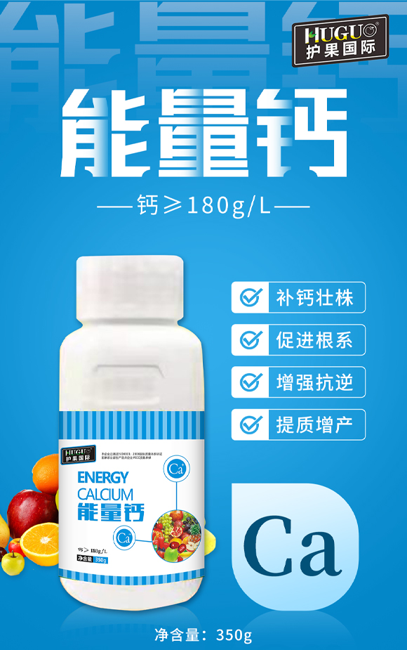 �o�����H855862_01