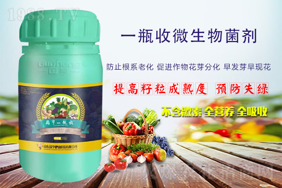 火爆農(nóng)化網(wǎng)喜迎新盟友，攜手國亨肥業(yè)共走財富之路！