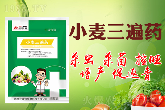 小麥巧打三遍藥抗病增產(chǎn)有奇效！小麥三遍藥什么時(shí)候打？