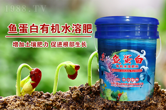 魚蛋白肥增產(chǎn)效果驚人！70%人不知道的內(nèi)幕曝光