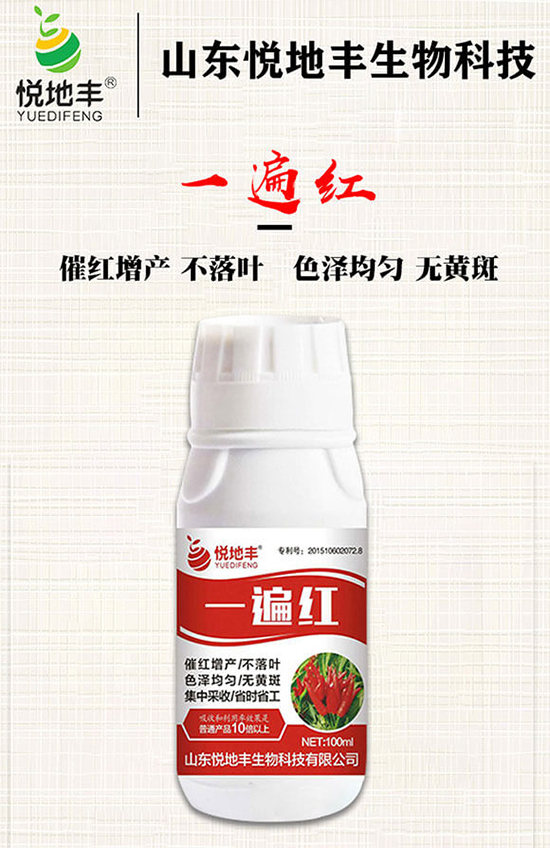 辣椒催紅措施怎么做？辣椒如何提前上市？辣椒催紅藥什么時(shí)候打好？