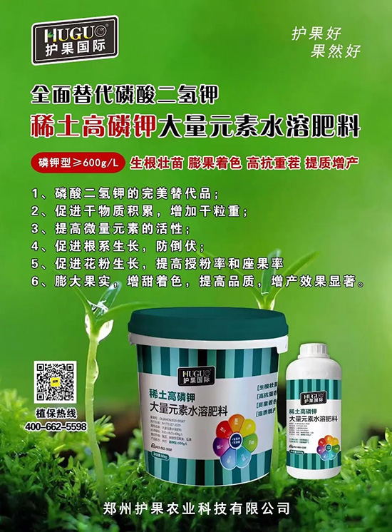 ⛷ʴ�q�r(ji��)���@�N⛷���ݶ���������������⛣���ռ���f�Ј�