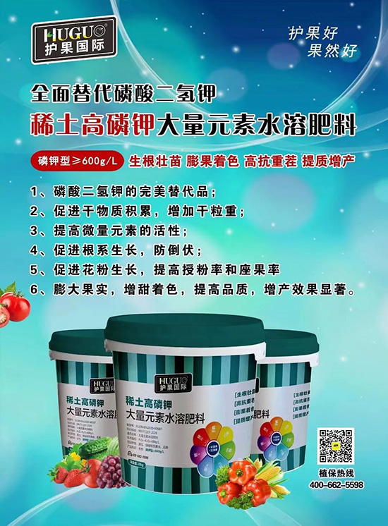 ⛷ʴ�q�r(ji��)���@�N⛷���ݶ��������������������ռ���f�Ј�