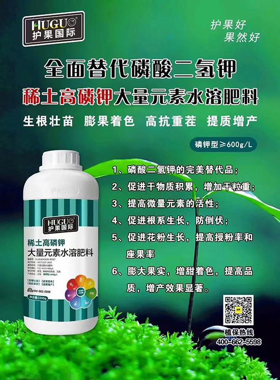 ⛷ʴ�q�r(ji��)���@�N⛷���ݶ��ϣ����������������ռ���f�Ј�