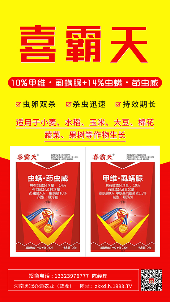 С�˶��������x(ch��ng)Σ����̫�y�����@����ˎ��һ��һ��(g��)��(zh��n)!