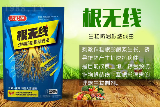 根結(jié)線蟲殺死容易殺絕難！這樣防治效果好到驚人！