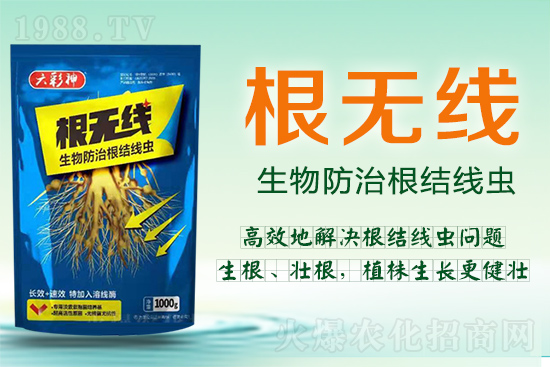 根結(jié)線蟲殺死容易殺絕難！這樣防治效果好到驚人！