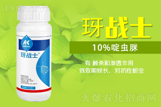 早春蚜蟲很容易大爆發(fā)，怎么避免黃瓜蚜蟲危害？