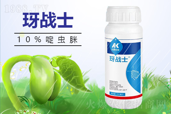 早春蚜蟲很容易大爆發(fā)，怎么避免黃瓜蚜蟲危害？