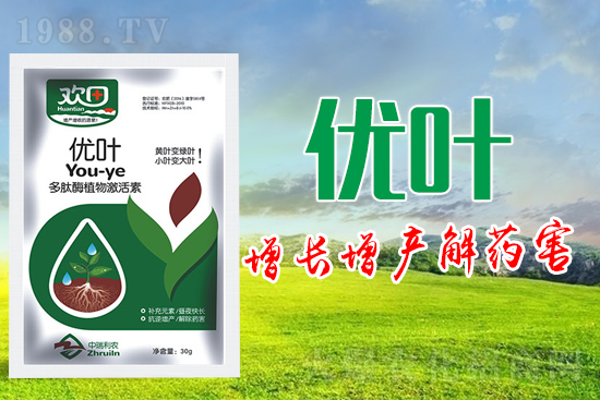 葉面肥的種類(lèi)及使用注意事項(xiàng)