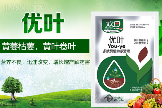 葉面肥的種類(lèi)及使用注意事項(xiàng)