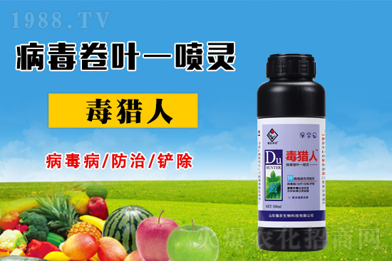 病毒病危害時(shí)期，怎么做好防治？