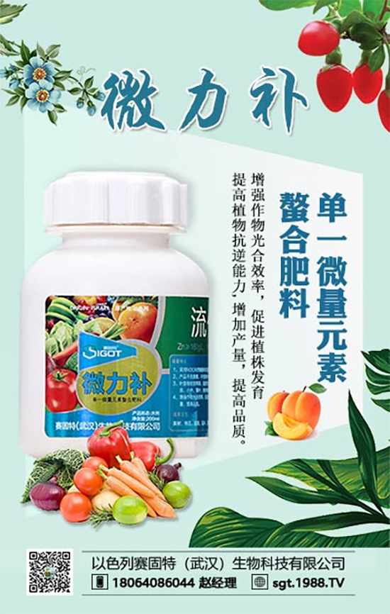 ���ι���С�~���S�~����������������