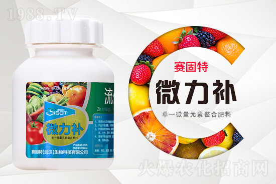 ���ι���С�~���S�~�������������У�