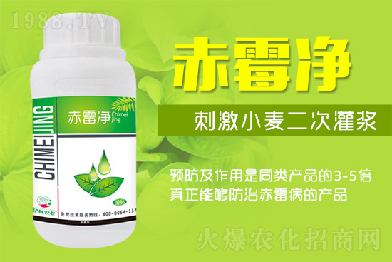 緊急提醒：未來十天是小麥赤霉病防治關(guān)鍵期！務(wù)必抓??！