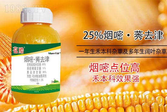 玉米除草，別用這幾種除草劑！