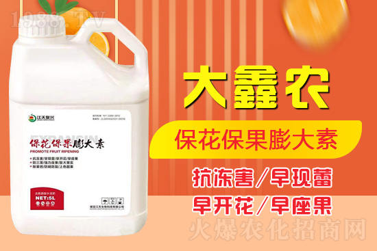 �ļ���������ٲ�������α��������