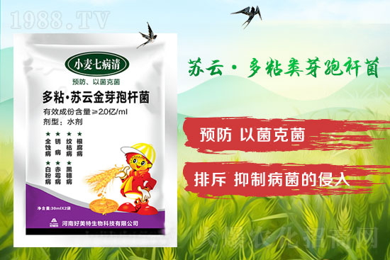 四月小麥赤霉病多發(fā)，不要錯過防治時間！