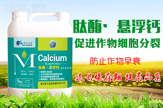 �O���仨���a(b��)�}���P(gu��n)�I���O���a(b��)�}���Ă��`�^(q��)��֪������