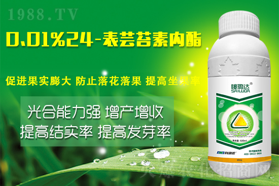 蕓苔素內(nèi)酯竟然有這么多作用！這樣搭配解決膨果增產(chǎn)難題！