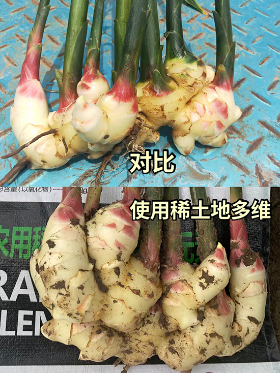 微信圖片_20220520080028