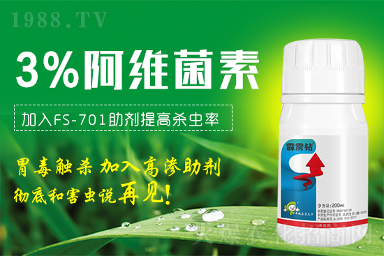 �@���x�����x���t֩�������x�β����������@�����䷽